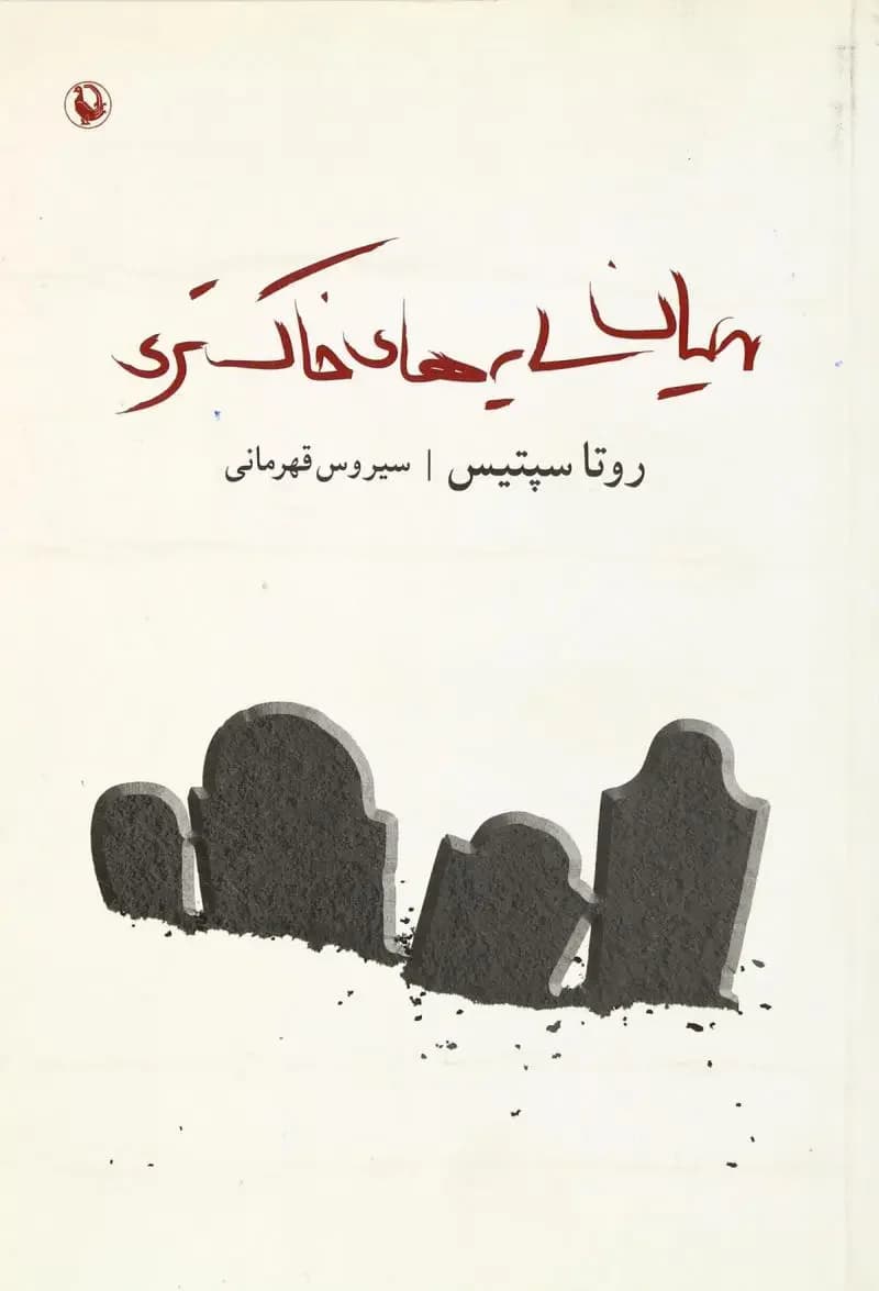 جلد میان سایه های خاکستری