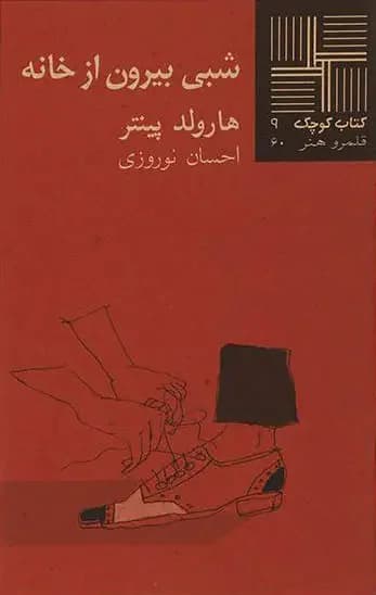 شبی بیرون از خانه
