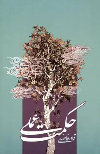 حکمت عملی
