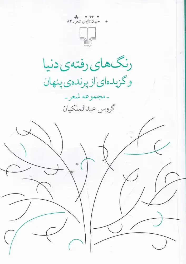 رنگ های رفته ی دنیا