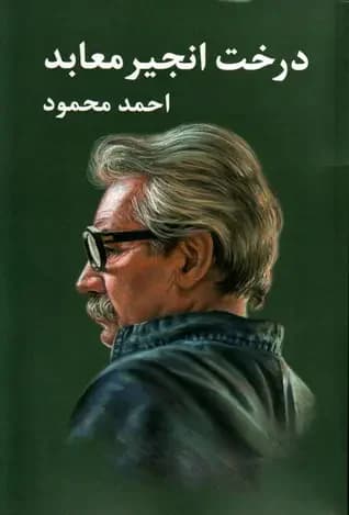 درخت انجیر معابد ۲ جلدی