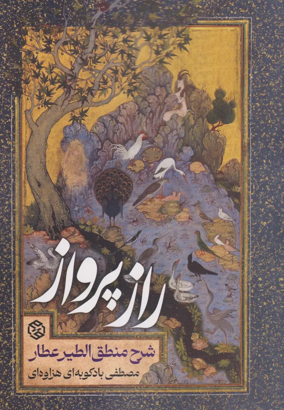 راز پرواز