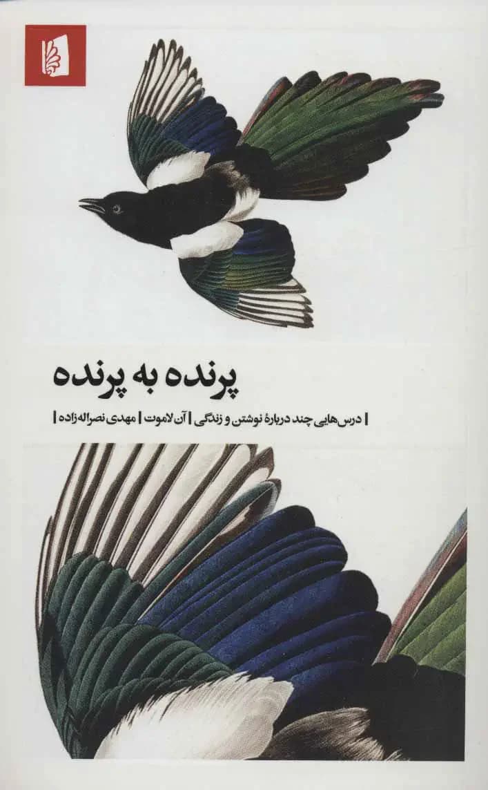 پرنده به پرنده