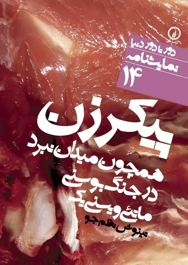 پیکر زن همچون میدان نبرد در جنگ بوسنی