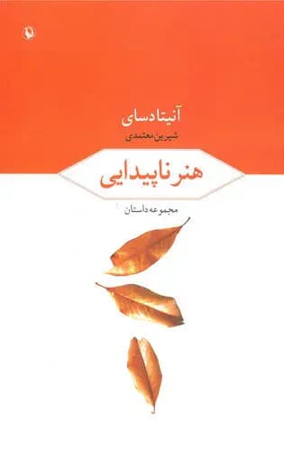 جلد هنر ناپیدایی
