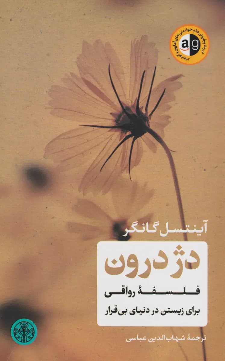 دژ درون