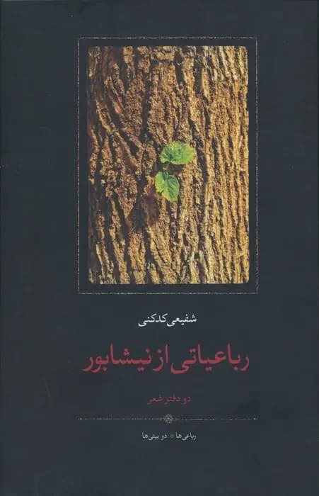 رباعیاتی از نیشابور