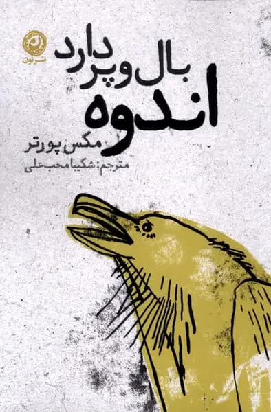 اندوه بال و پر دارد