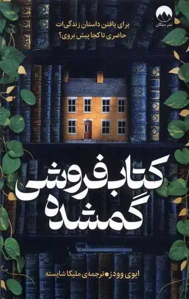 فروشی گمشده
