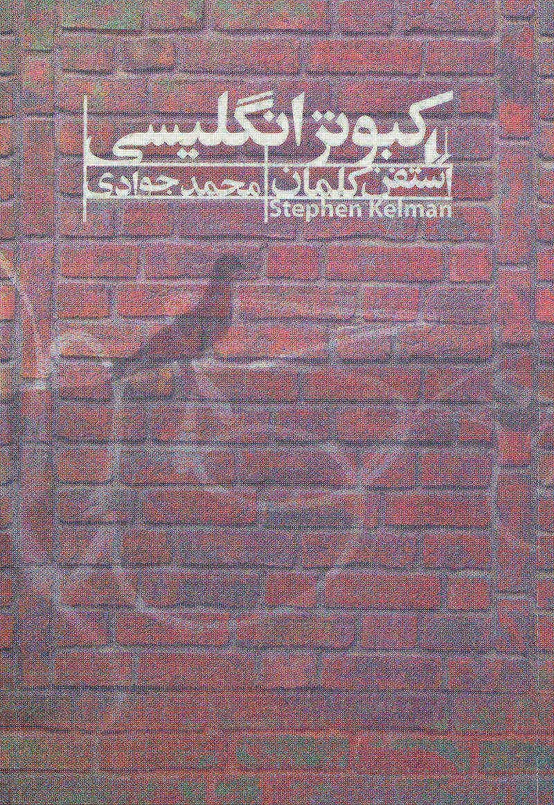 کبوتر انگلیسی