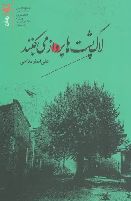 لاک پشت ها پرواز می کنند